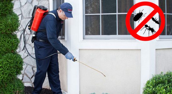 Buca Koop Gümüşkurt İlaçlama böcek ilaçlama ve haşere kontrolü — ilaclama-tr.com